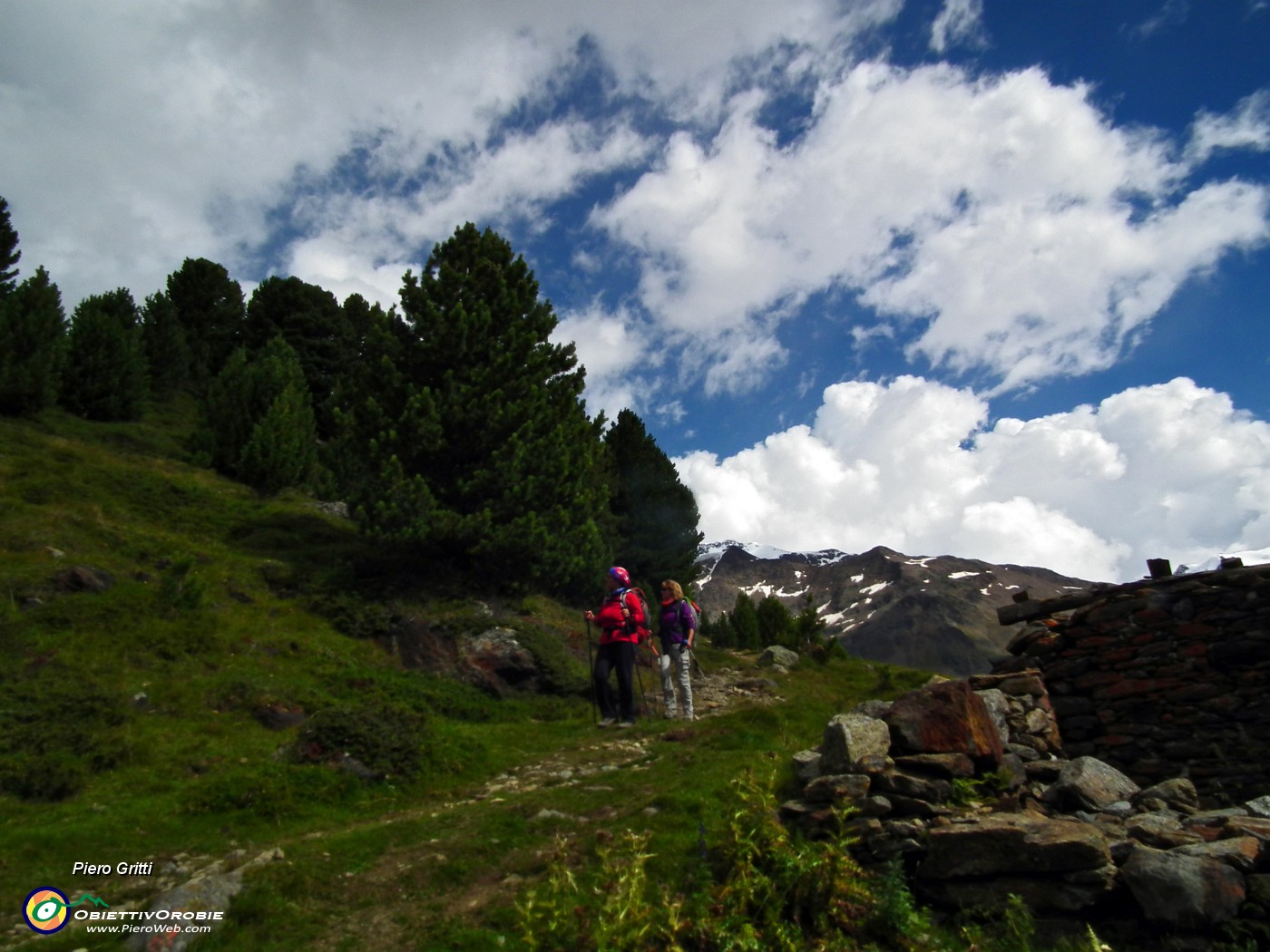 170 Scendiamo a valle tra alti pini mughi.JPG